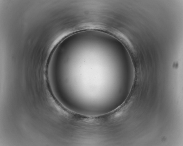 X0000092021182200709061547