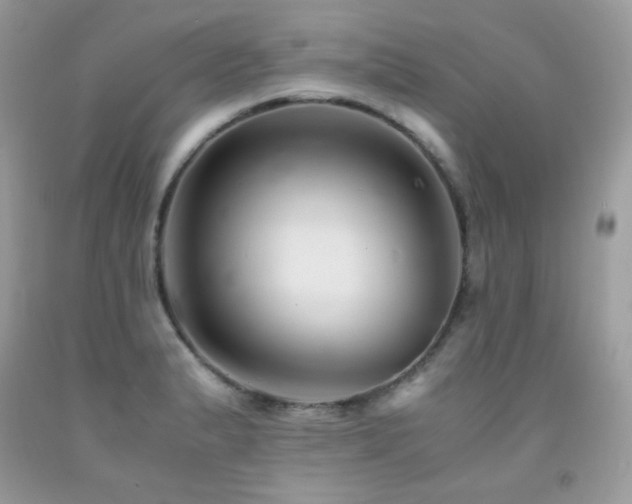 X0000092021183200709061547