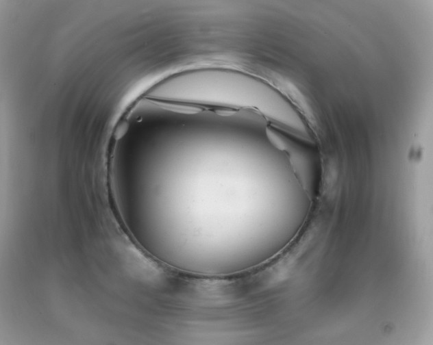 X0000092021184200709061547