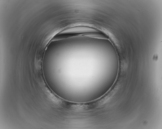 X0000092021185200709061547