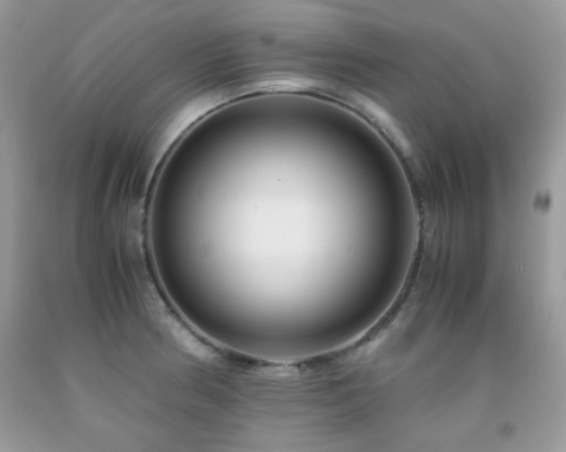 X0000092021186200709061547