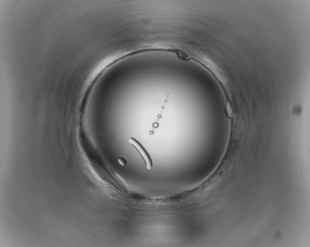 X0000092021187200709061547