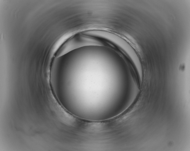 X0000092021188200709061547