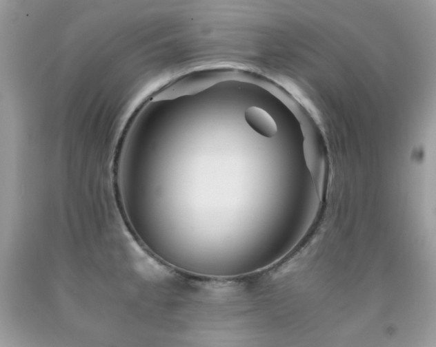 X0000092021189200709061547
