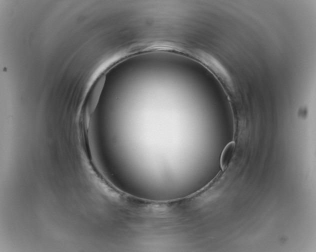 X0000092021190200709061547