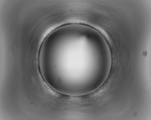 X0000092021191200709061547