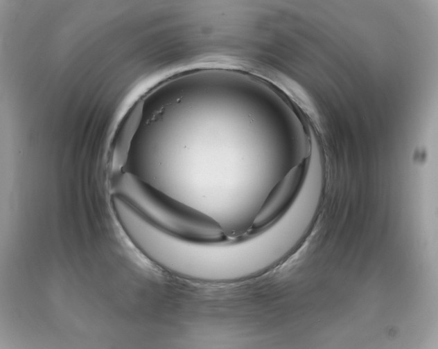 X0000092021192200709061547