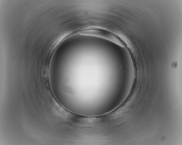 X0000092021193200709061547