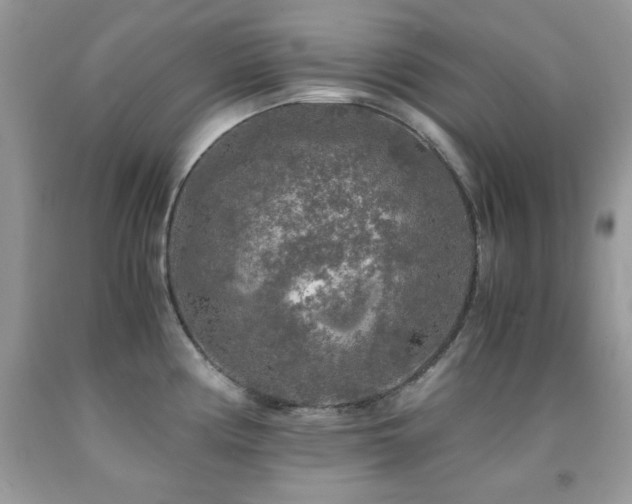 X0000092021194200709061547