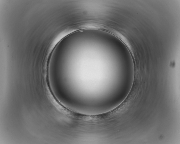 X0000092021195200709061547
