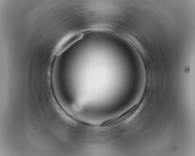 X0000092021196200709061547