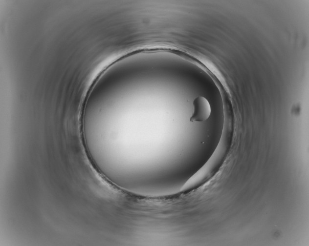 X0000092021197200709061547