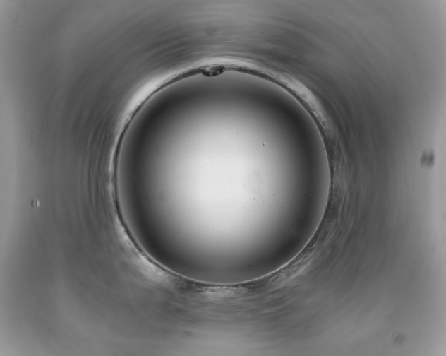 X0000092021199200709061546