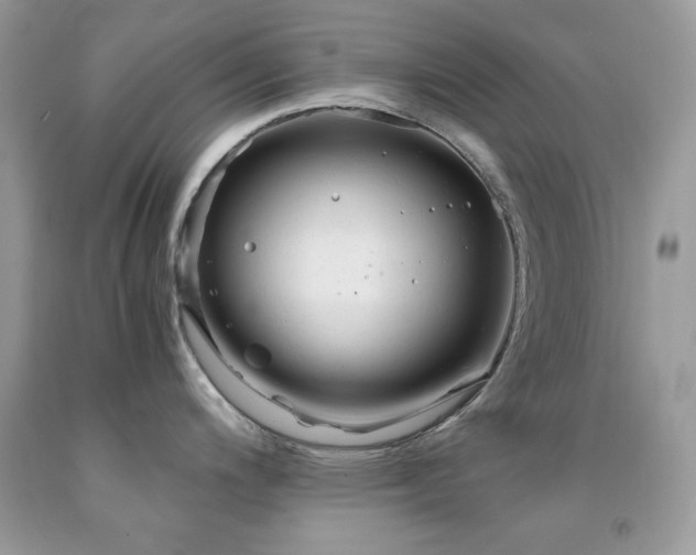 X0000092021200200709061546