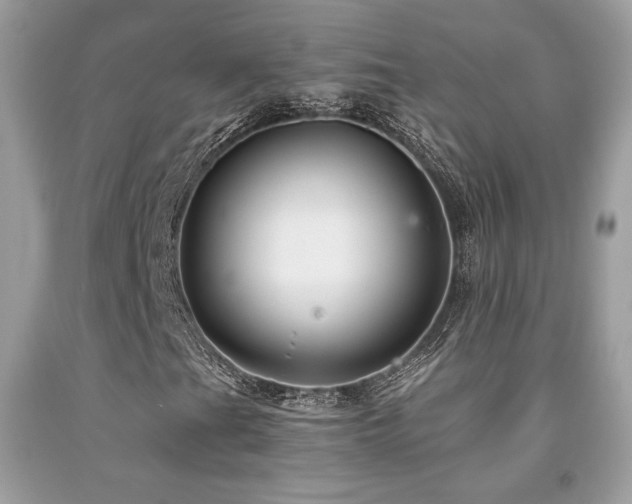 X0000092021201200709061546