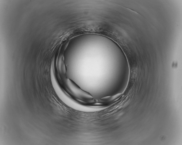 X0000092021202200709061546