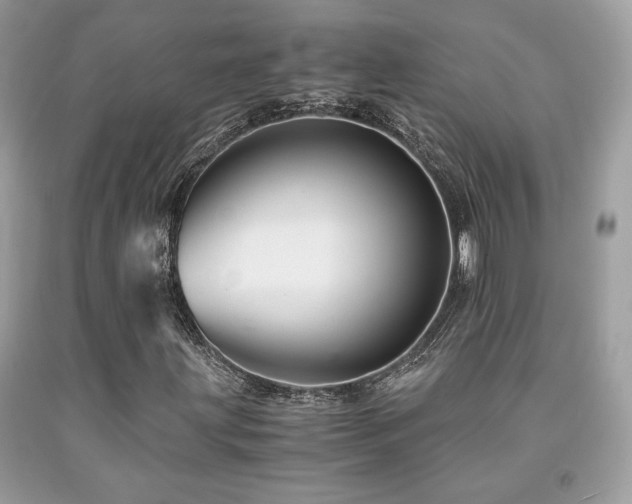 X0000092021203200709061546