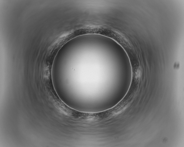 X0000092021204200709061546