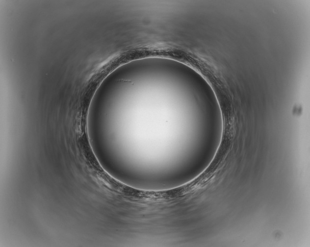 X0000092021205200709061546