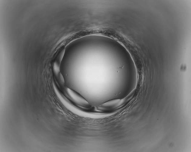 X0000092021206200709061546