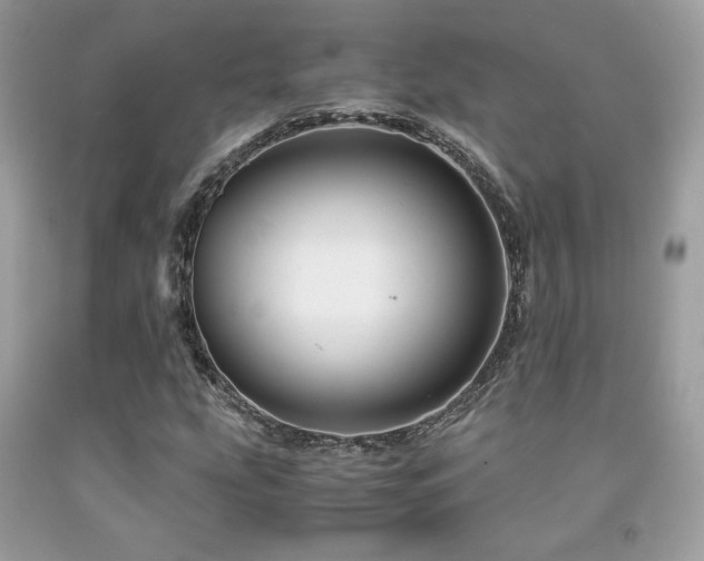 X0000092021207200709061546