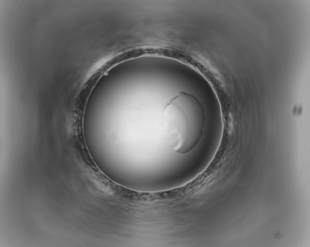 X0000092021208200709061546