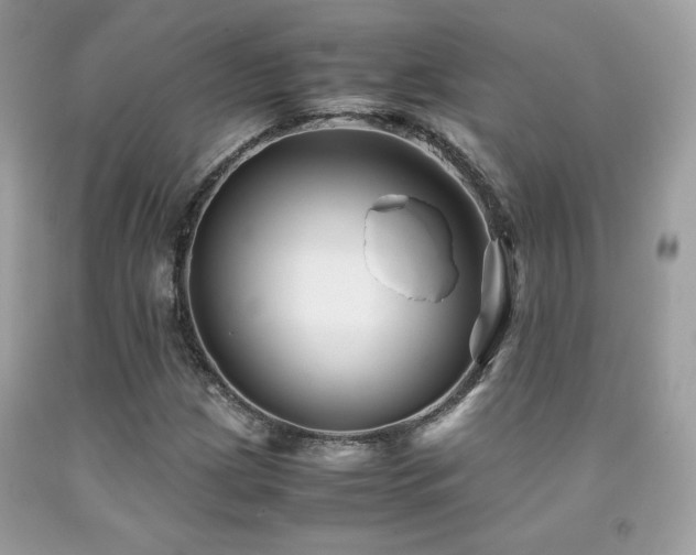 X0000092021209200709061546
