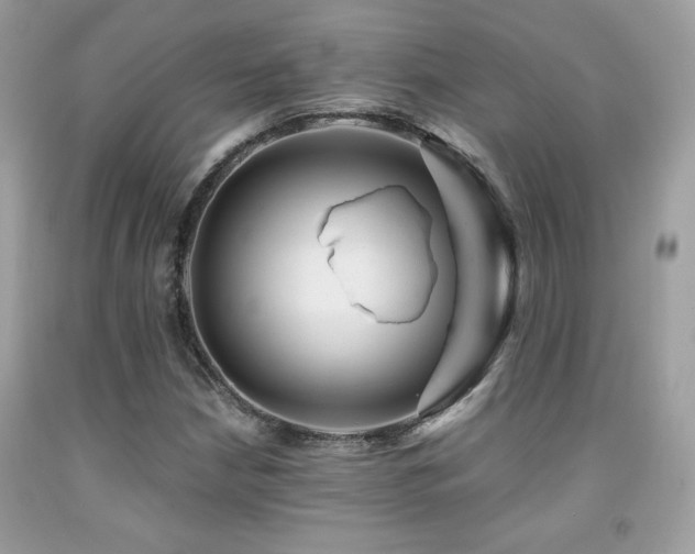 X0000092021210200709061546