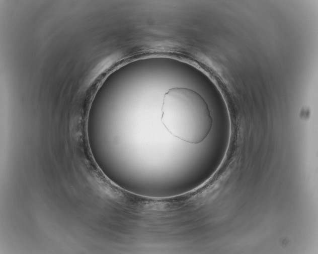 X0000092021211200709061546