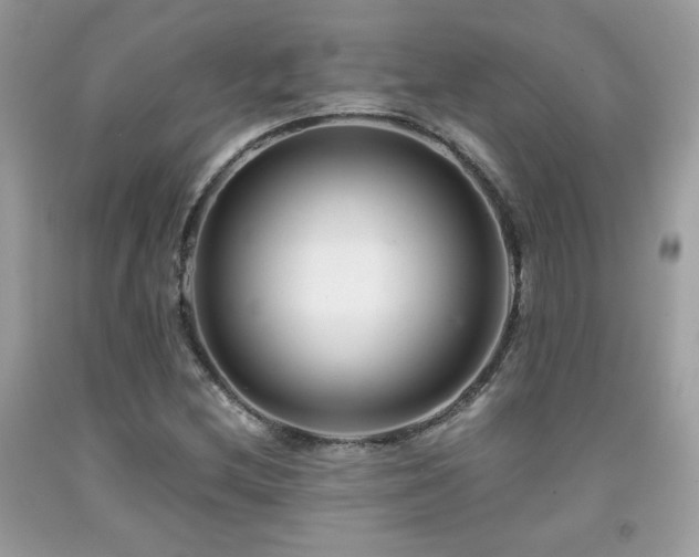 X0000092021212200709061546