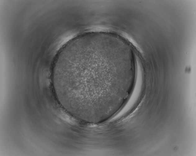 X0000092021213200709061546
