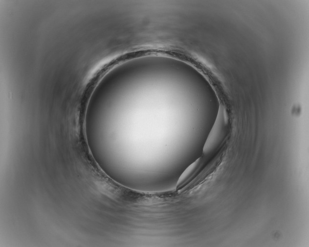 X0000092021214200709061546