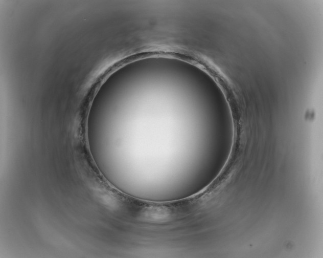 X0000092021215200709061546