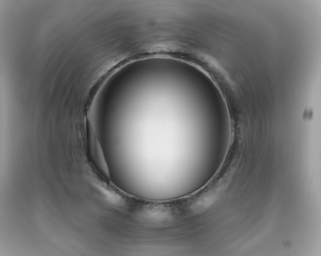 X0000092021217200709061546