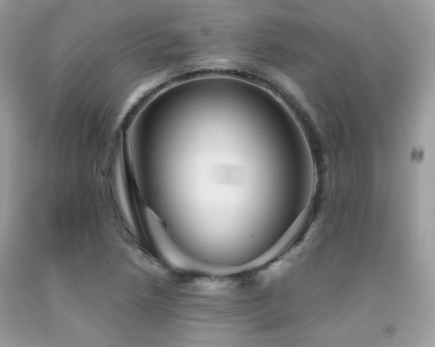 X0000092021218200709061546