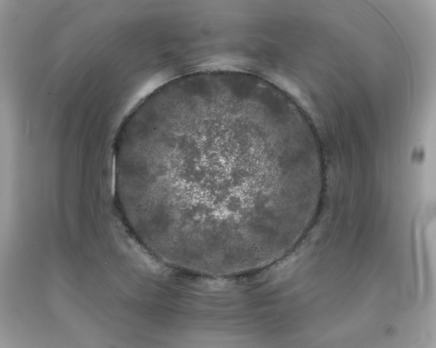 X0000092021219200709061546