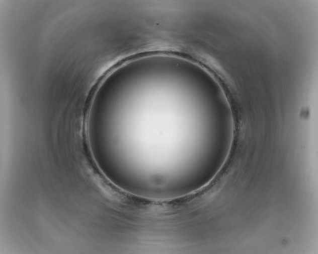 X0000092021220200709061546