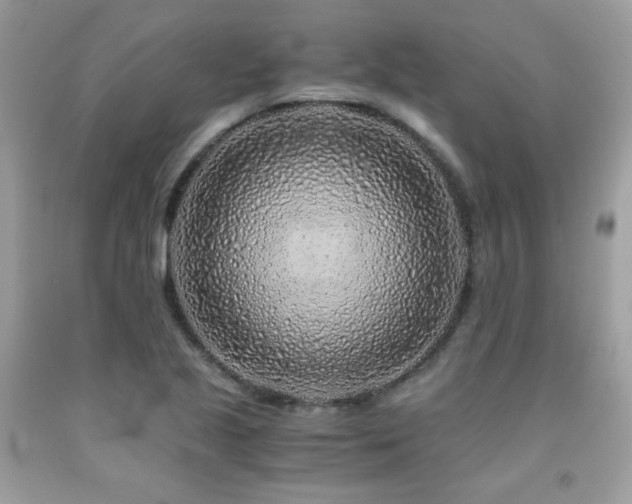X0000092021221200709061546