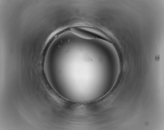 X0000092021222200709061546