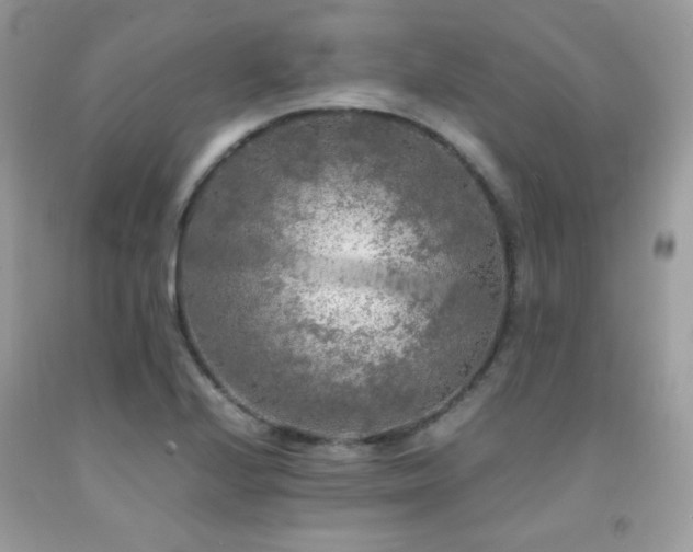 X0000092021224200709061546