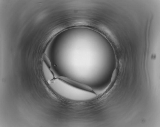 X0000092021225200709061546