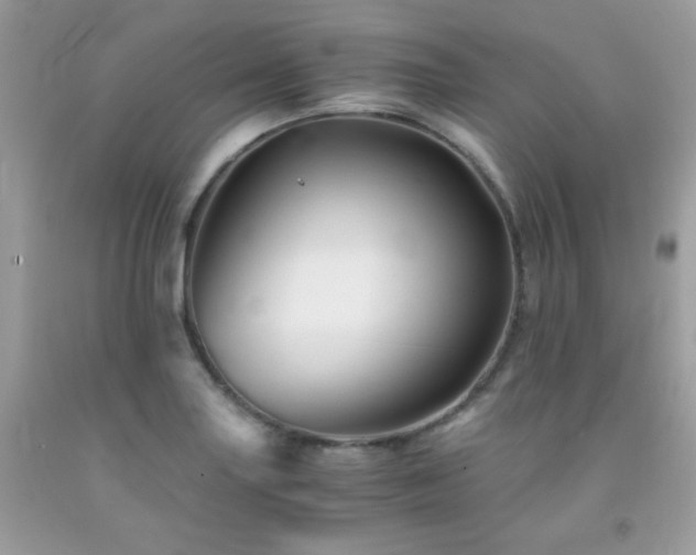 X0000092021227200709061546