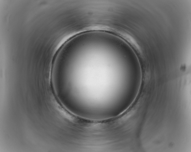 X0000092021228200709061546