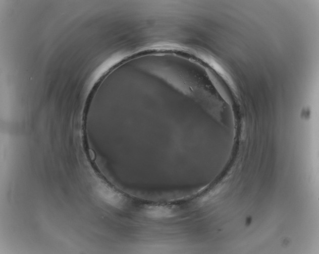 X0000092021229200709061546