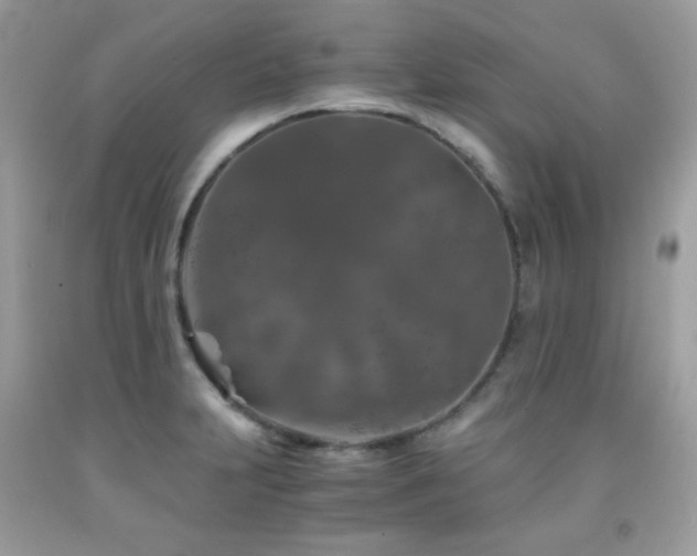X0000092021231200709061546