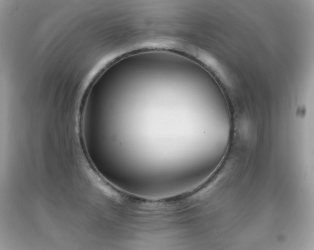 X0000092021232200709061546