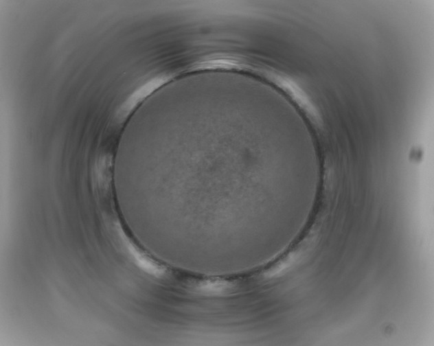X0000092021233200709061546