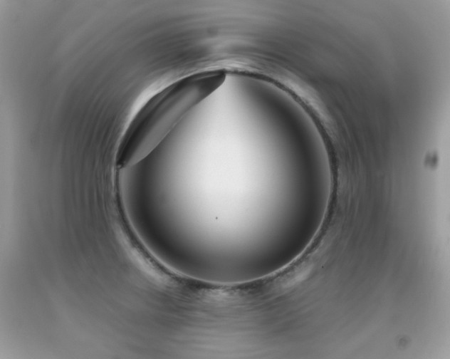 X0000092021234200709061546