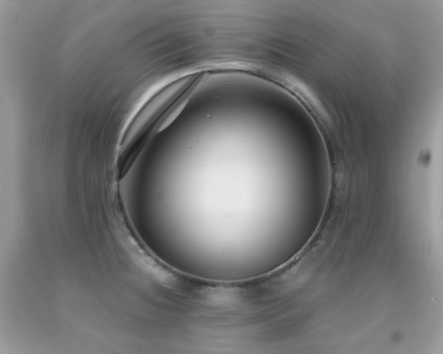 X0000092021236200709061546