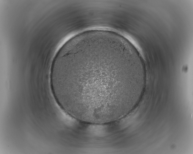 X0000092021237200709061546